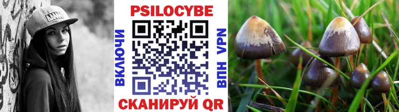 omg   Никольск  Галлюциногенные грибы ЛСД 